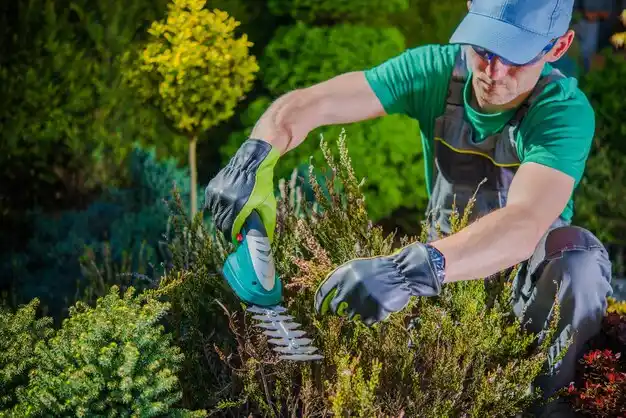 landscaping services Center Line
